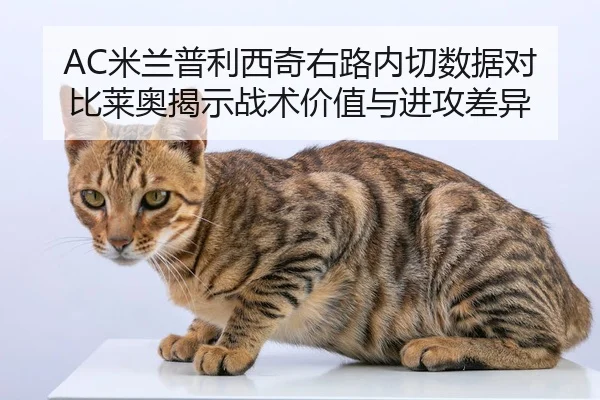 AC米兰普利西奇右路内切数据对比莱奥揭示战术价值与进攻差异